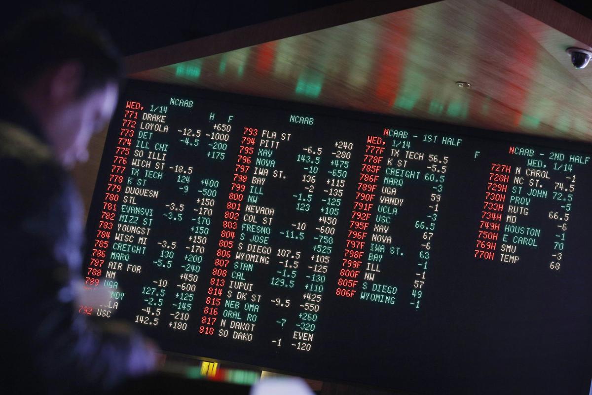 Legal sports betting in florida