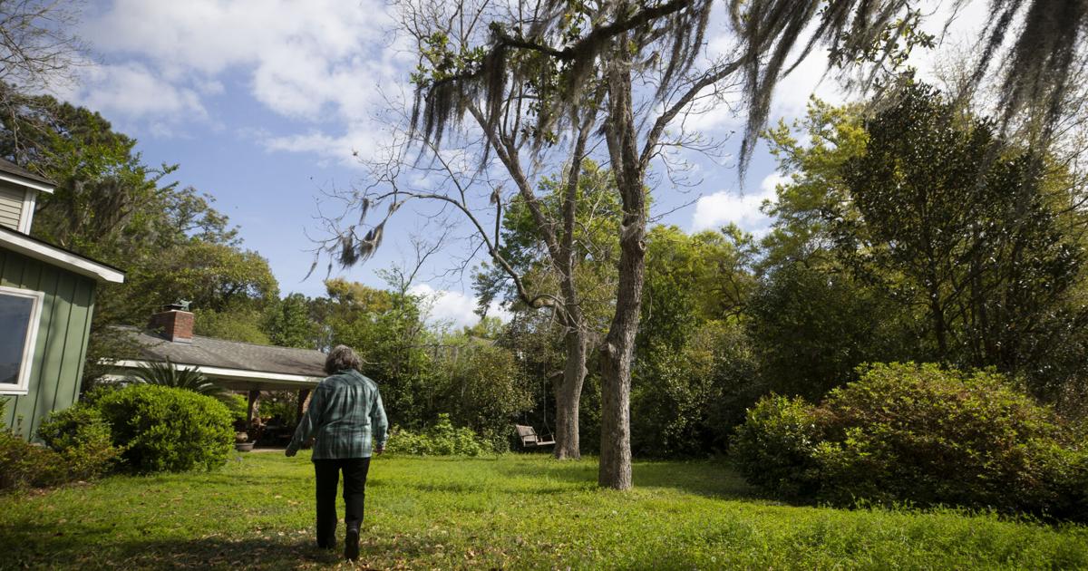 Editorial: SC must rethink its lax approach to septic tanks before it’s too late | Editorials