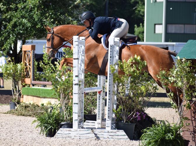 bruce-s-field-growing-aiken-charity-horse-shows-will-be-biggest-yet