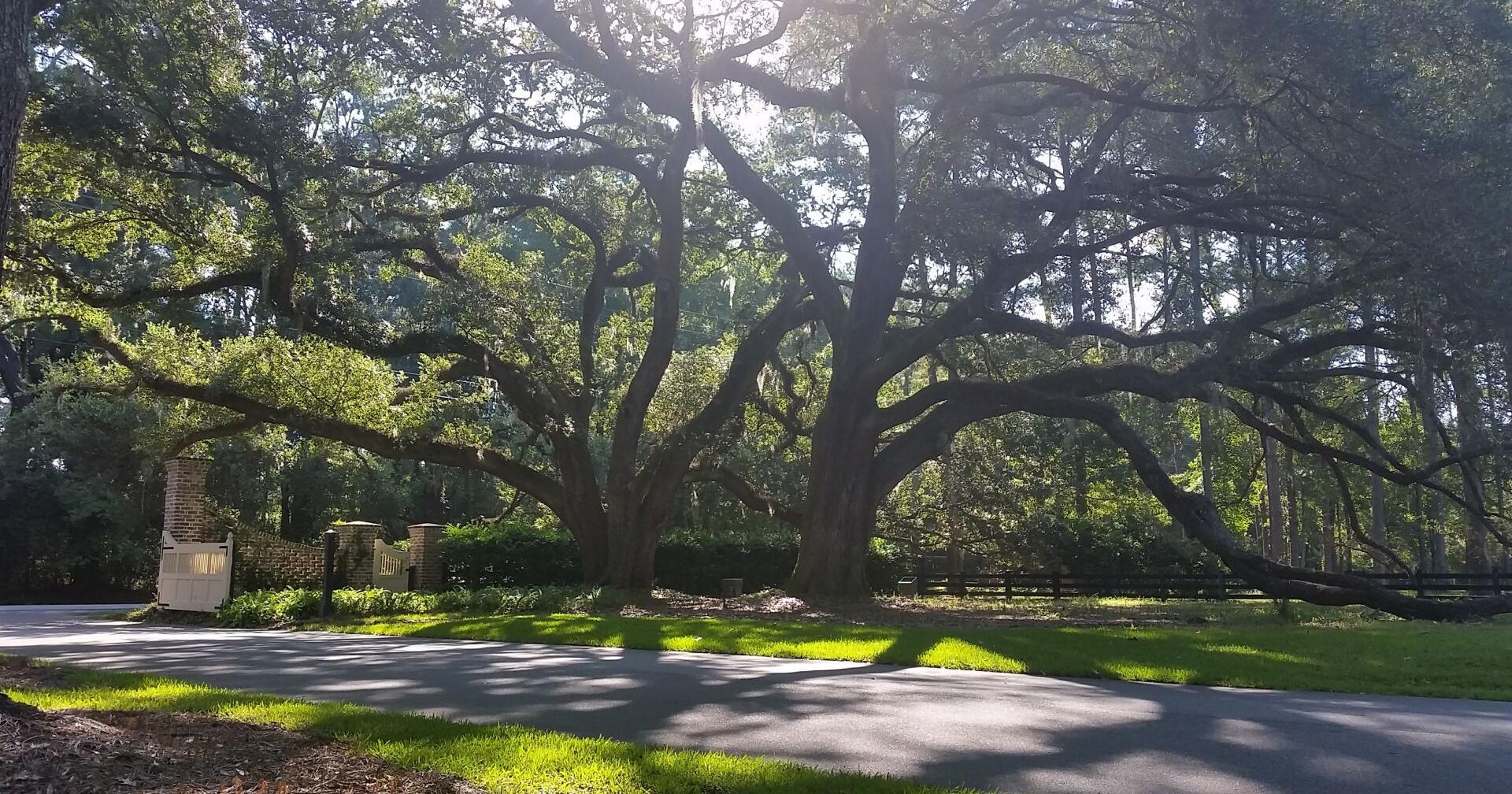 Planned community in Beaufort County sells for $11M | Beaufort County - Vimarsana News