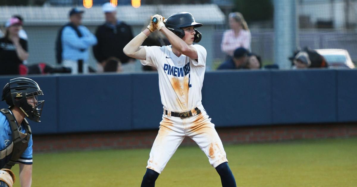 Panthers wrap up strong season on the baseball diamond