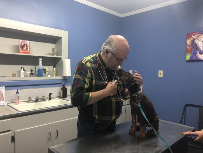 Kingstree vet Dr. James Coker wins statewide award News