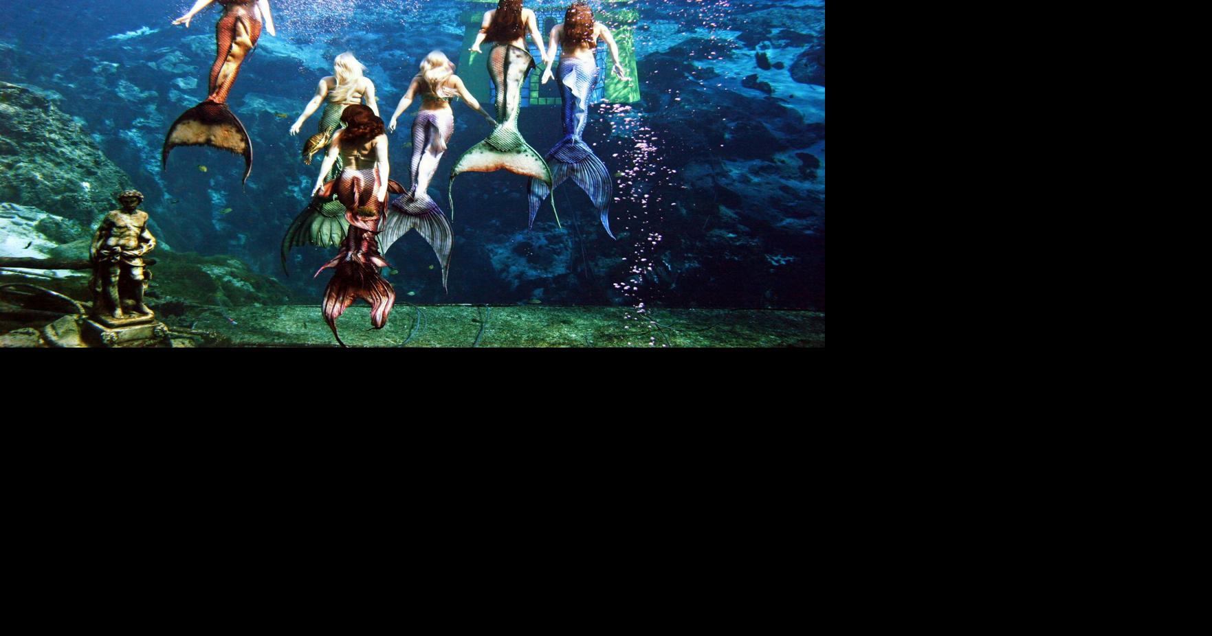 Mermaids to return to South Carolina Aquarium Business
