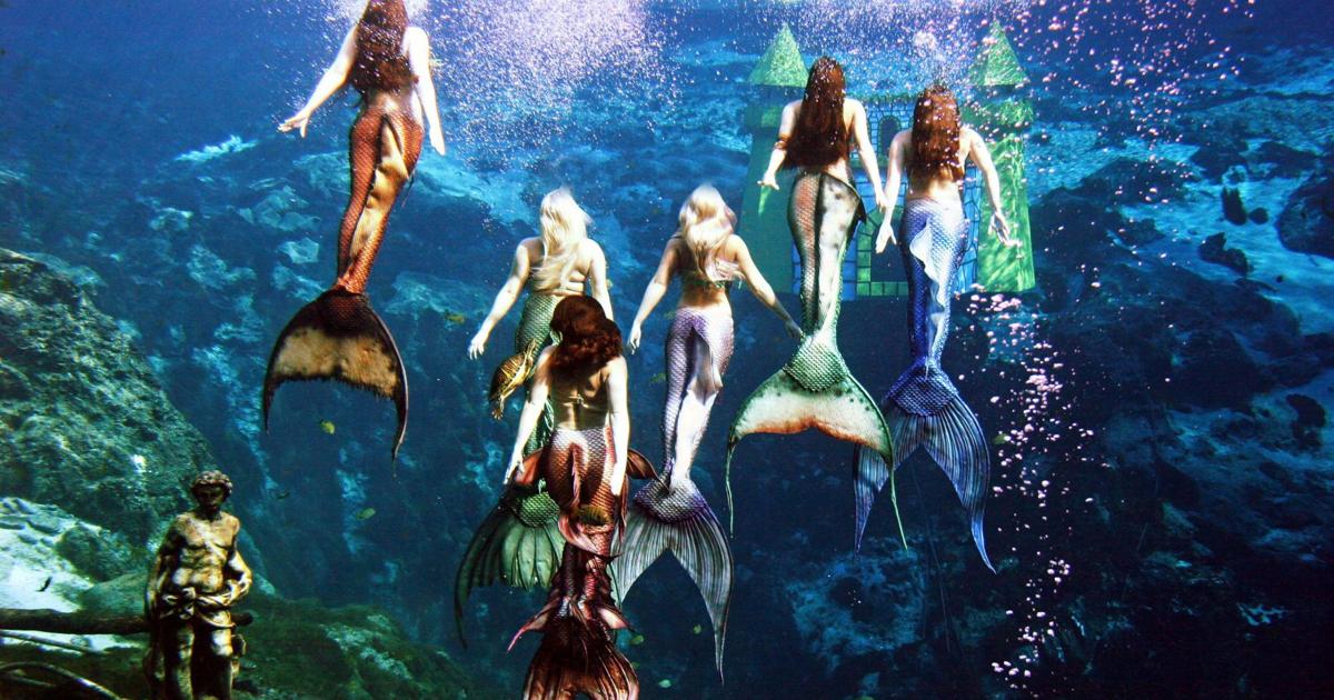 Mermaids to return to South Carolina Aquarium Business