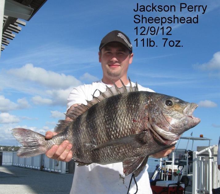 Test your sheepshead skills at Mount Pleasant pier Test your sheepshead skills at Mount Pleasant pier
