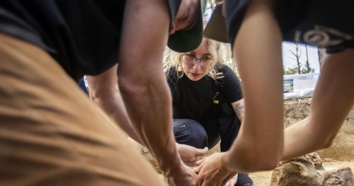 The First 15 Dig America's first veterans: Archaeological dig at Camden battlefield ...