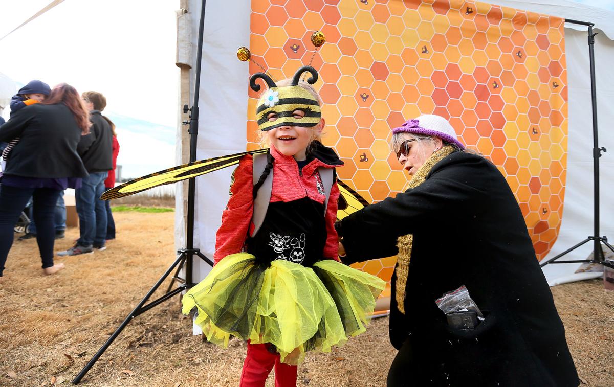 bee STEM festival.jpg
