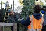 SC Christmas tree farmers expect strong demand, but consumers will likely pay more