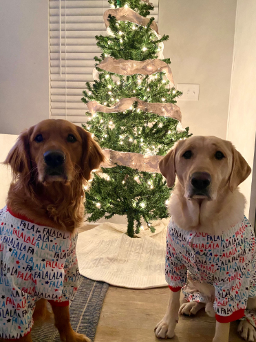 Fa La La Bandana Christmas Dog Bandana Falala Holiday 