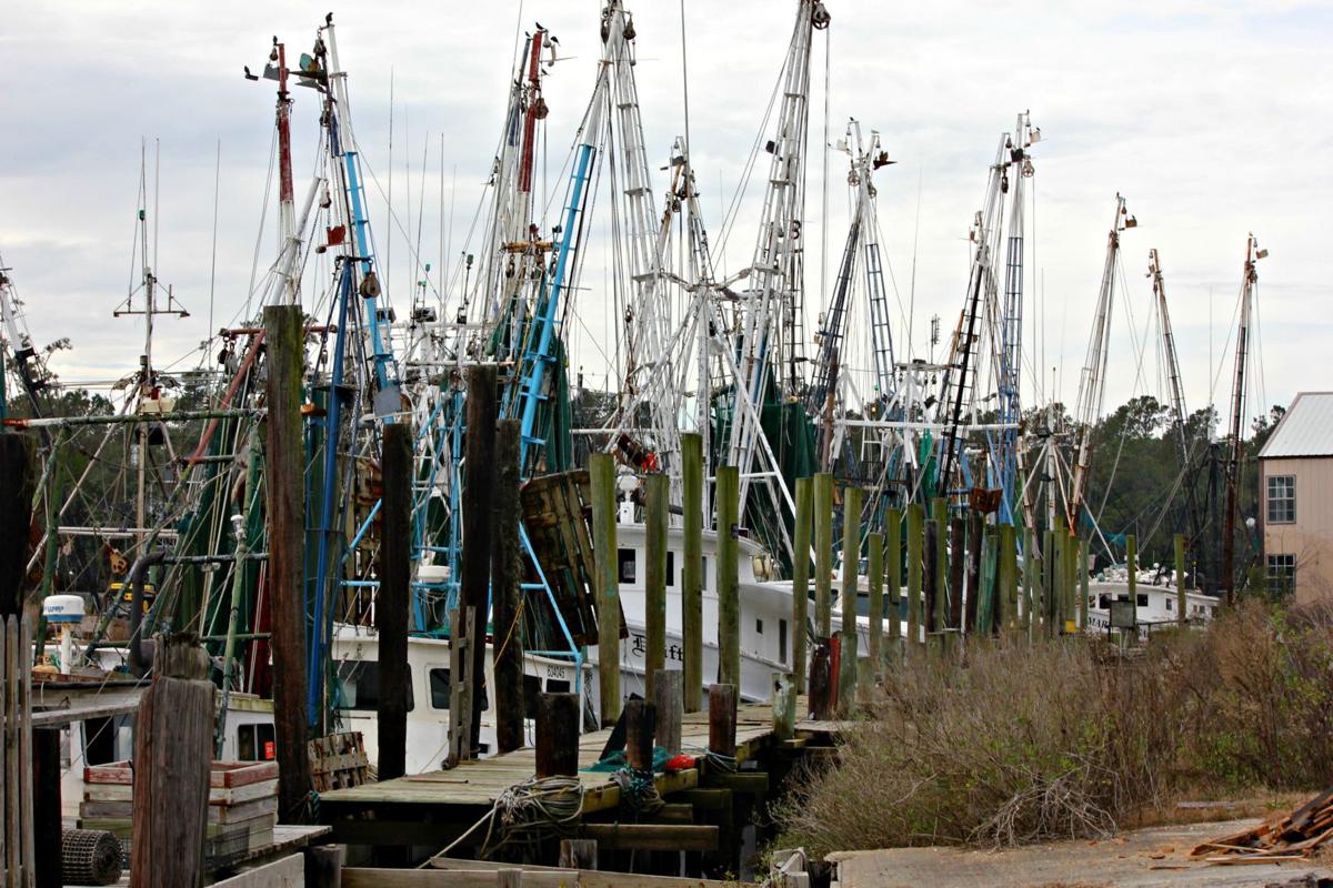 Awendaw and McClellanville Two charming and picturesque communities north of Mount Pleasant