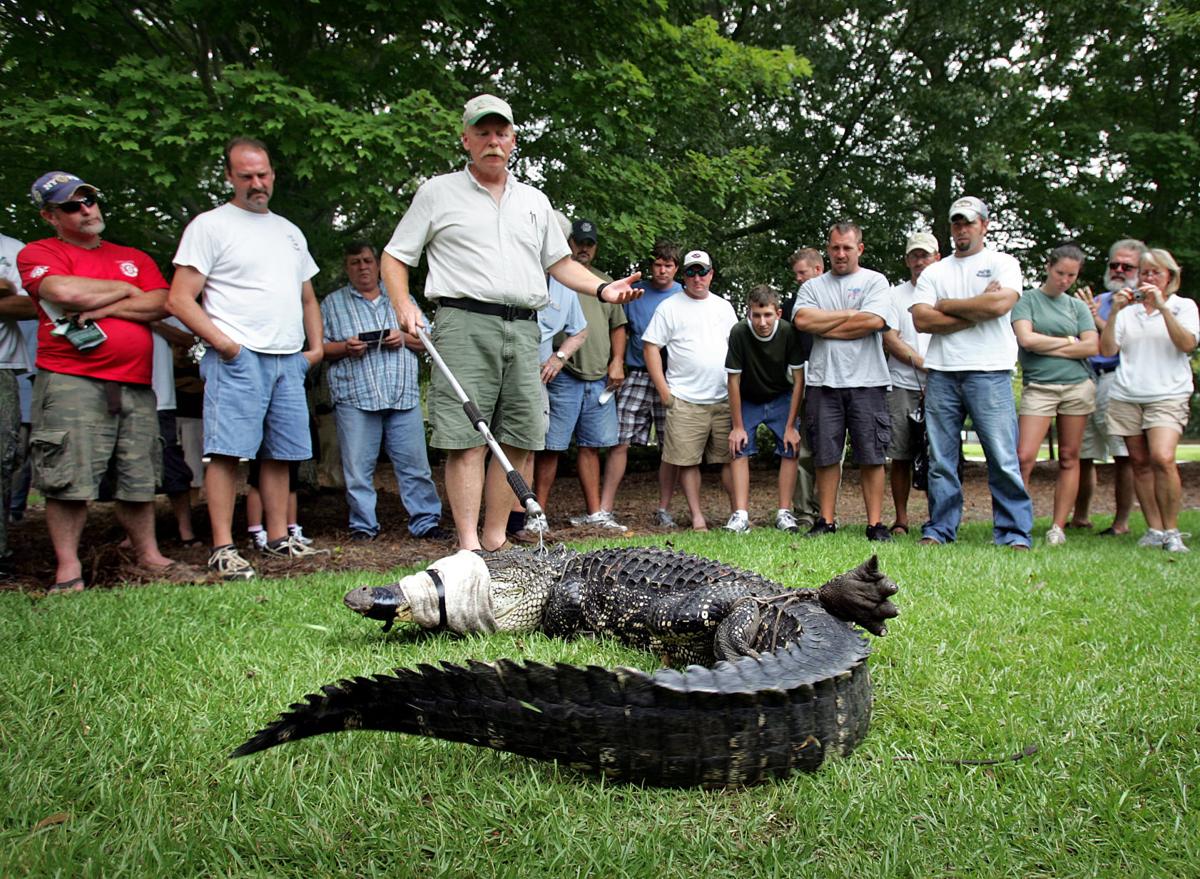 Lowcountry Alligator Hunts