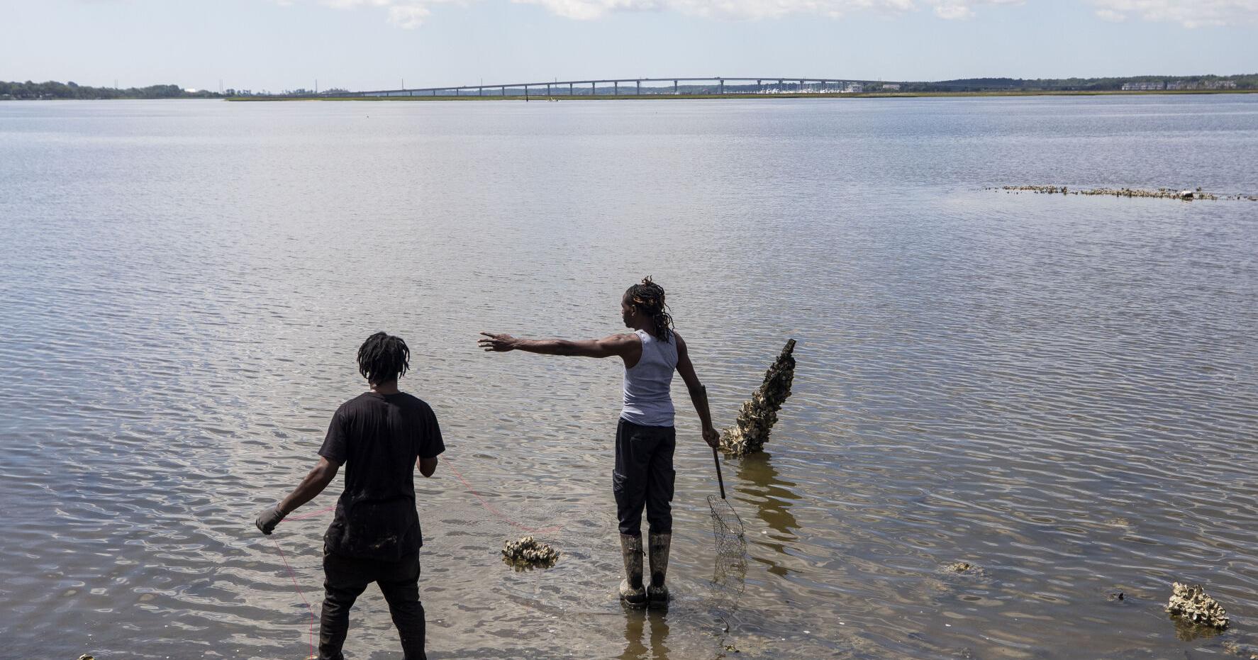 Mark Clark Extension puts 40 acres of wetlands at risk | News - Vimarsana News