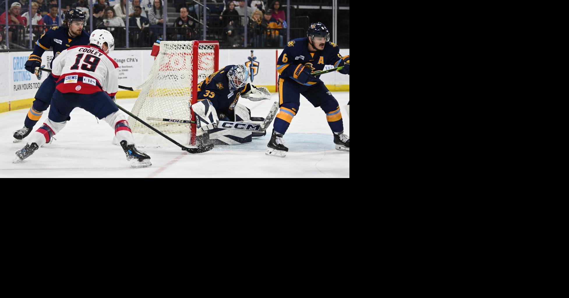 South Carolina Stingrays advance to next round of playoffs with victory over Atlanta