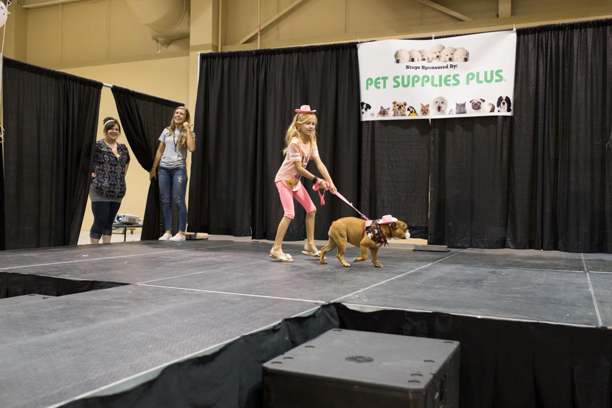 Pet Expo-October 14, 2017-832