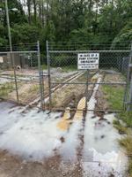 Spills send sewage into swamp near Black Creek. How will Florence make sure it doesn't happen again?