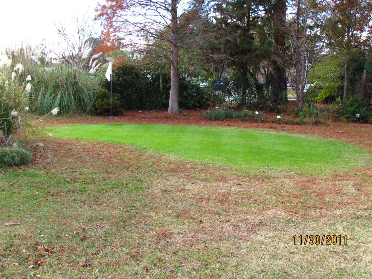 Keeping Turf Green In Winter Columnists Postandcourier Com