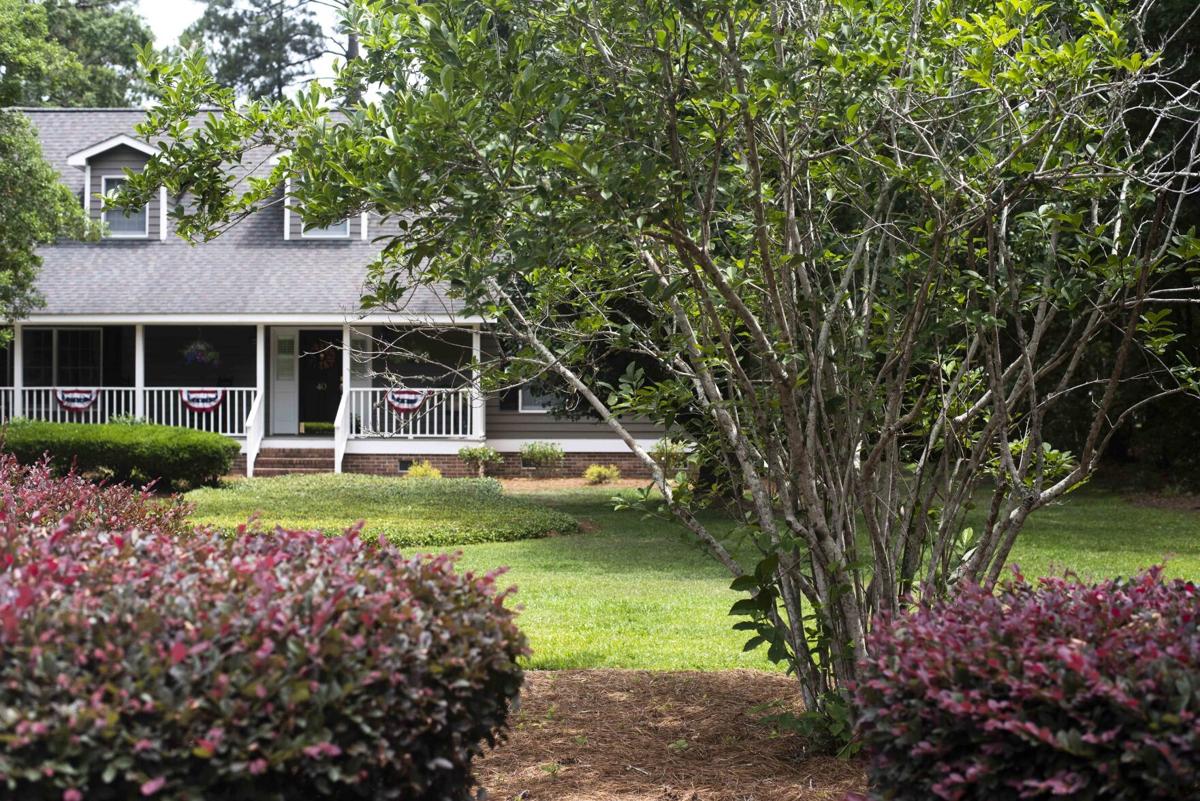 Wedgefield Plantation