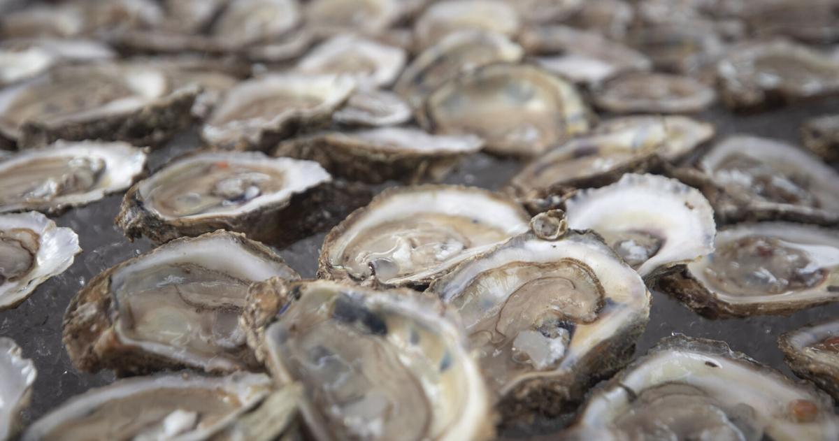 Oyster and clam harvest season is now open in SC. Here's what to know.