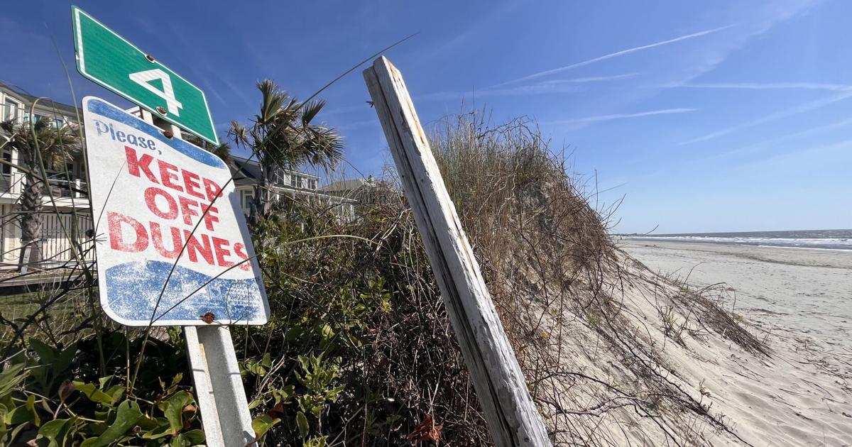 Isle of Palms soll stark erodierte Sanddünen restaurieren
