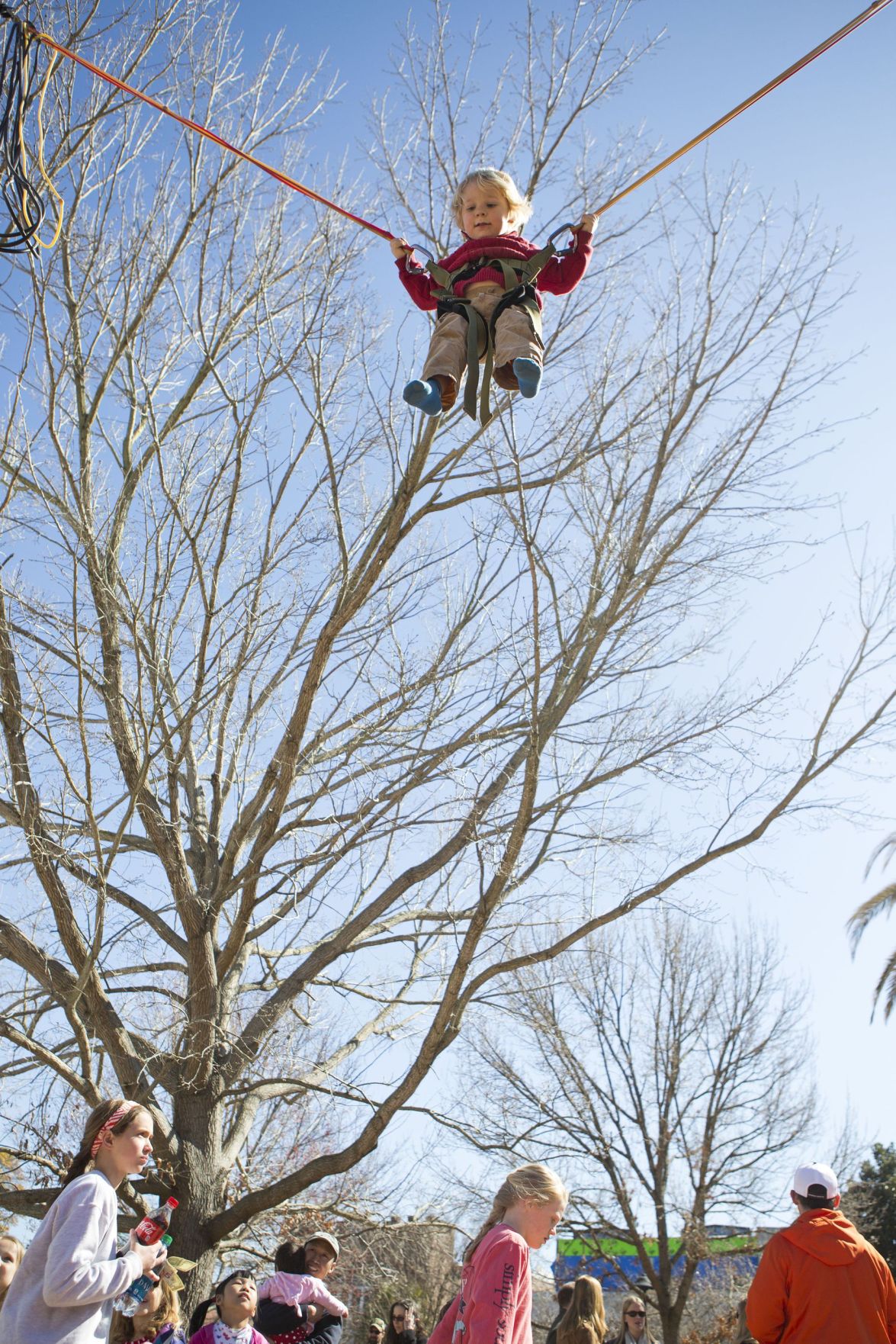 SEWE Birds of Prey