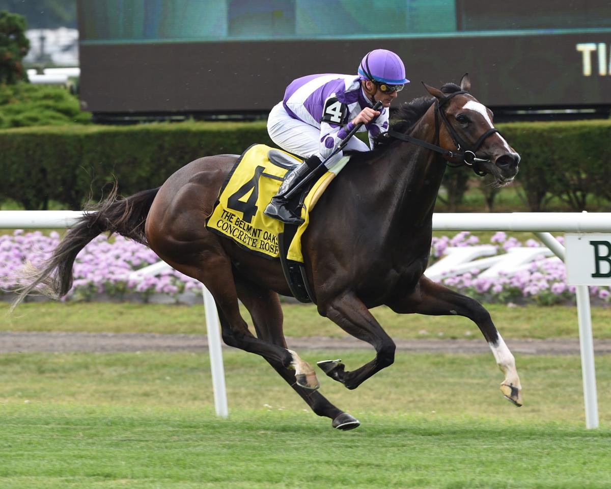 Aiken trained Horse Of Year Sells For 1 95 Million In Kentucky News aiken-trained-horse-of-year-sells-for-1-95-million-in-kentucky-news