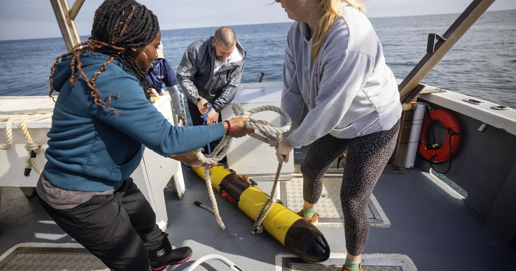 Right whales are in trouble. Can technology alone save them? | SC Climate and Environment News - Vimarsana News