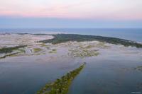 Another call to reject luxury 'ecoresort' plan for SC barrier island comes as review nears