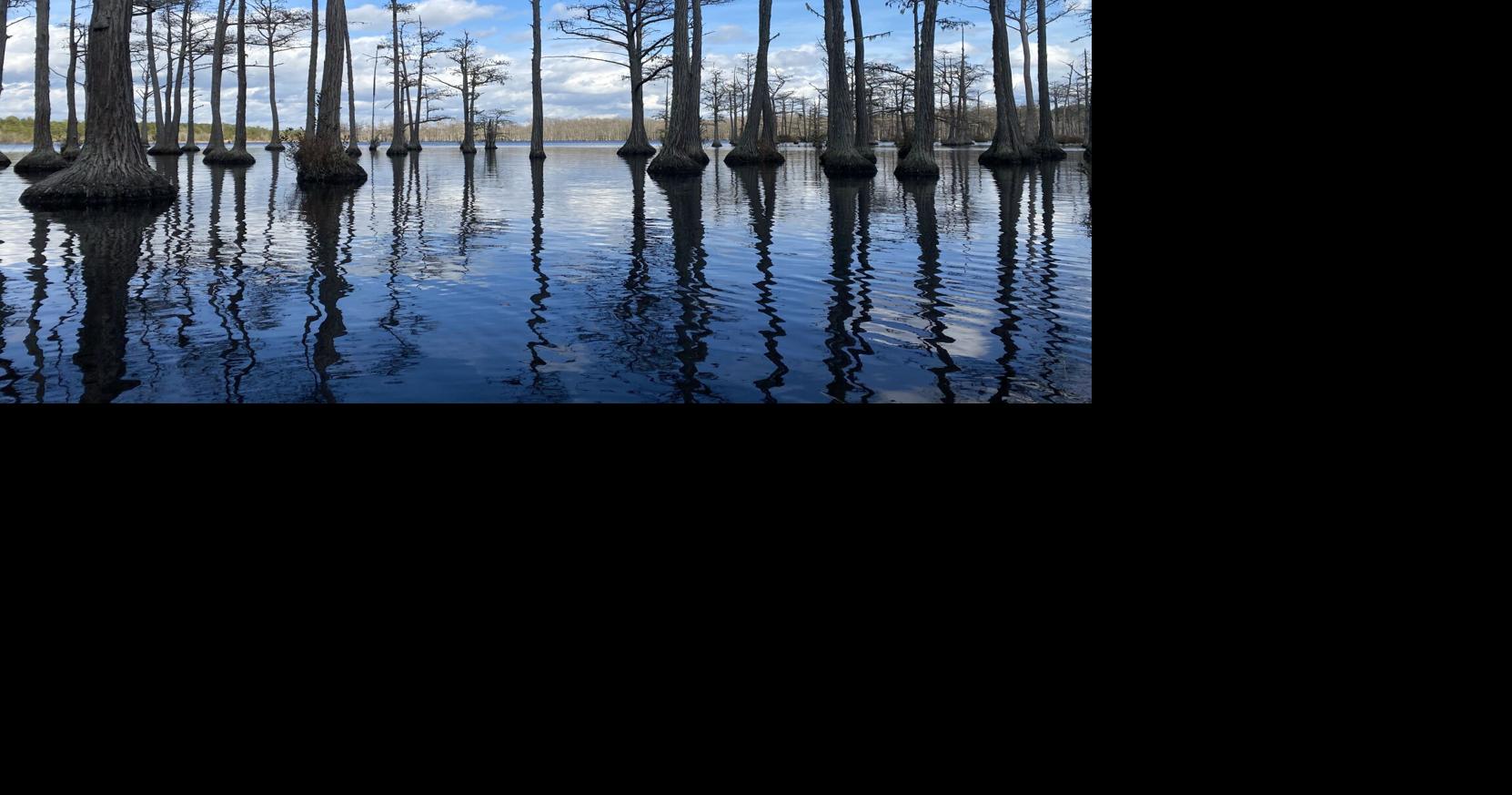 Still Here: Paddling and laughing at SC's Goodale State Park