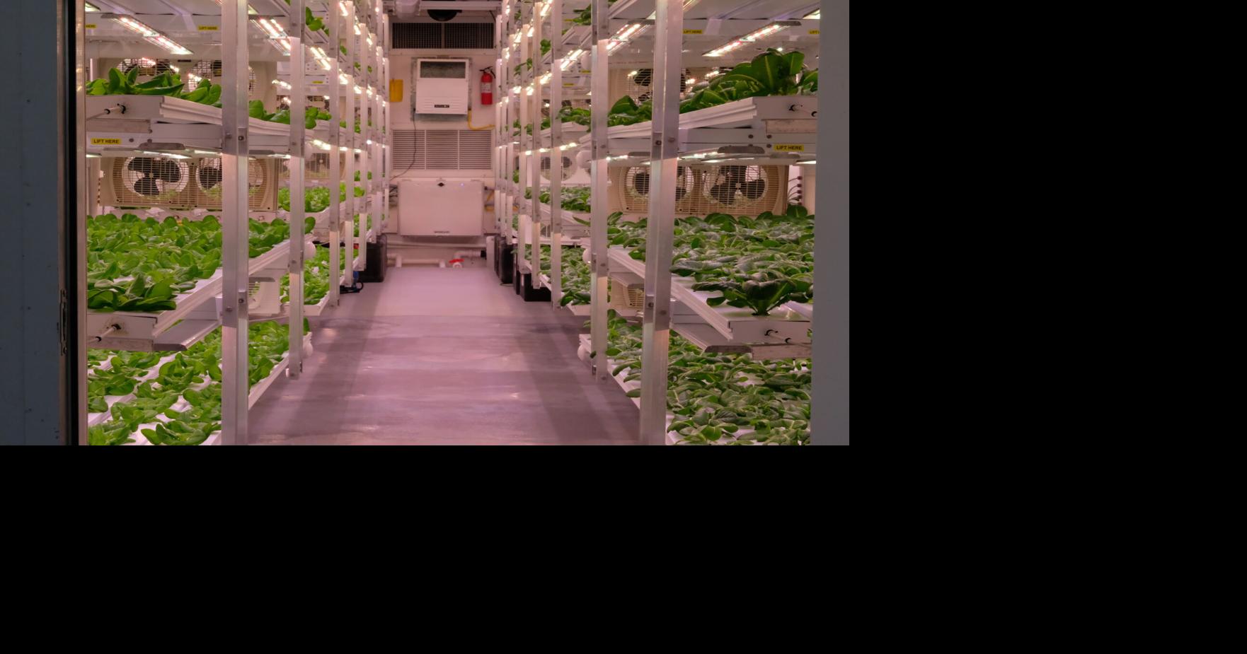 Columbia prison opens first-of-its-kind vertical farm aimed at teaching inmates agricultural skills