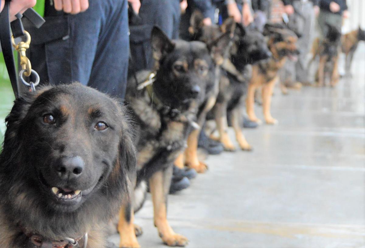 K9 retirement ceremony held in Goose Creek Crime