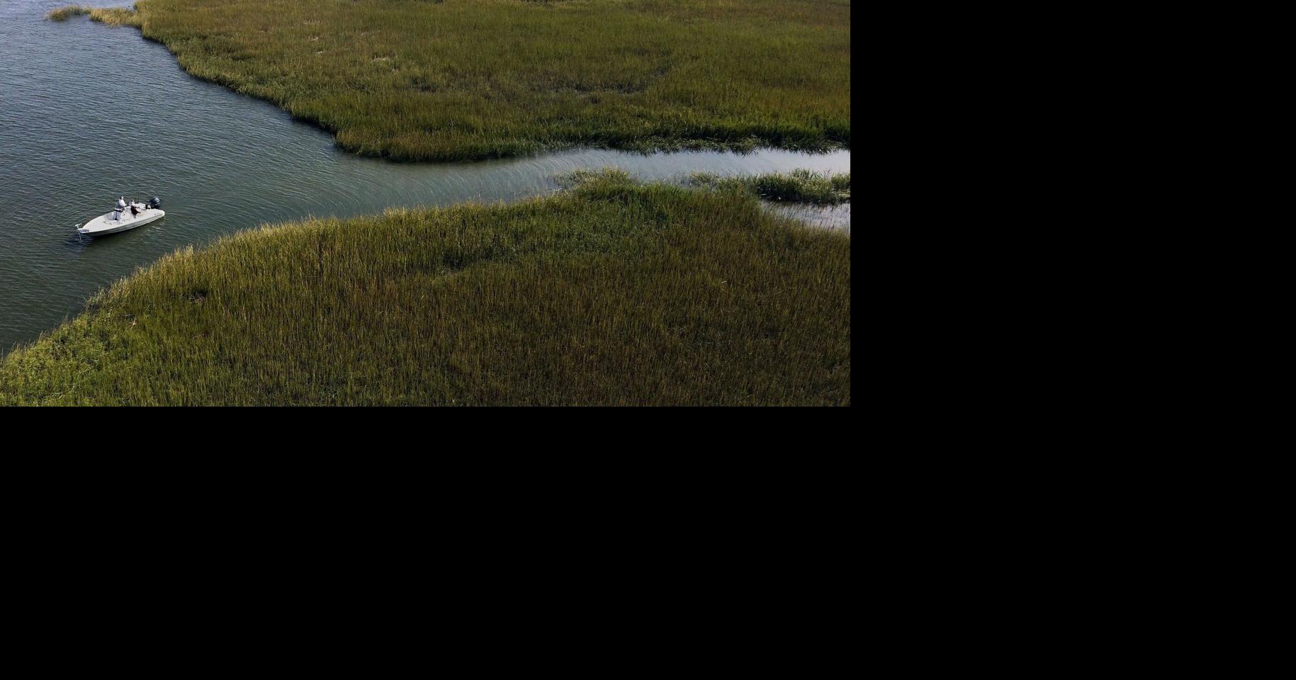 Fishable? Swimmable? Charleston waters in trouble