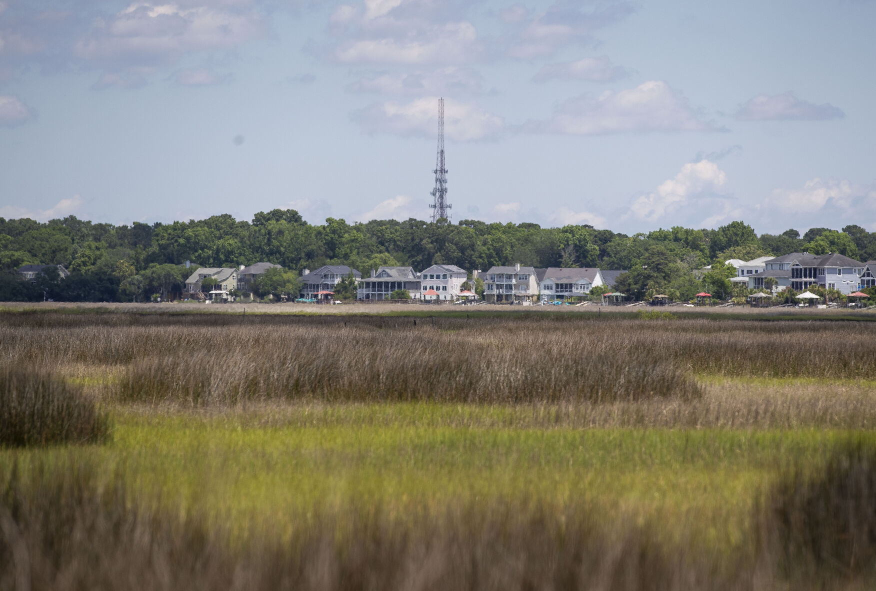 Photos: The Path Of The Proposed Mark Clark Extension | Photos From The ...