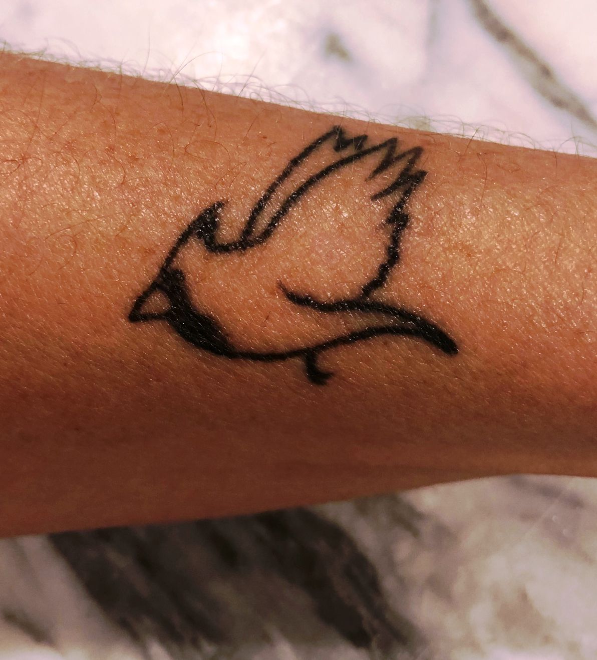 Oneline Bird  art by addillum  Red cardinal tattoos Cardinal tattoos  Small cardinal tattoo