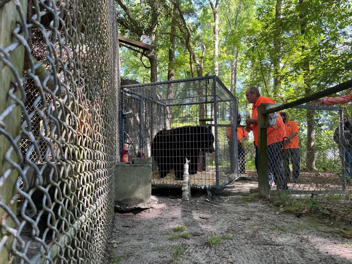 PETA removes remaining animals from closed Waccatee Zoo near