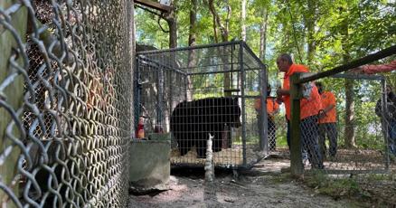 PETA removes remaining animals from closed Waccatee Zoo near Myrtle Beach PETA removes remaining animals from closed Waccatee Zoo near Myrtle Beach