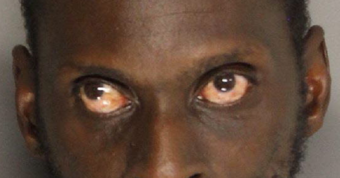 Berkeley Co. deputies arrest St. Stephen man for animal abandonment
