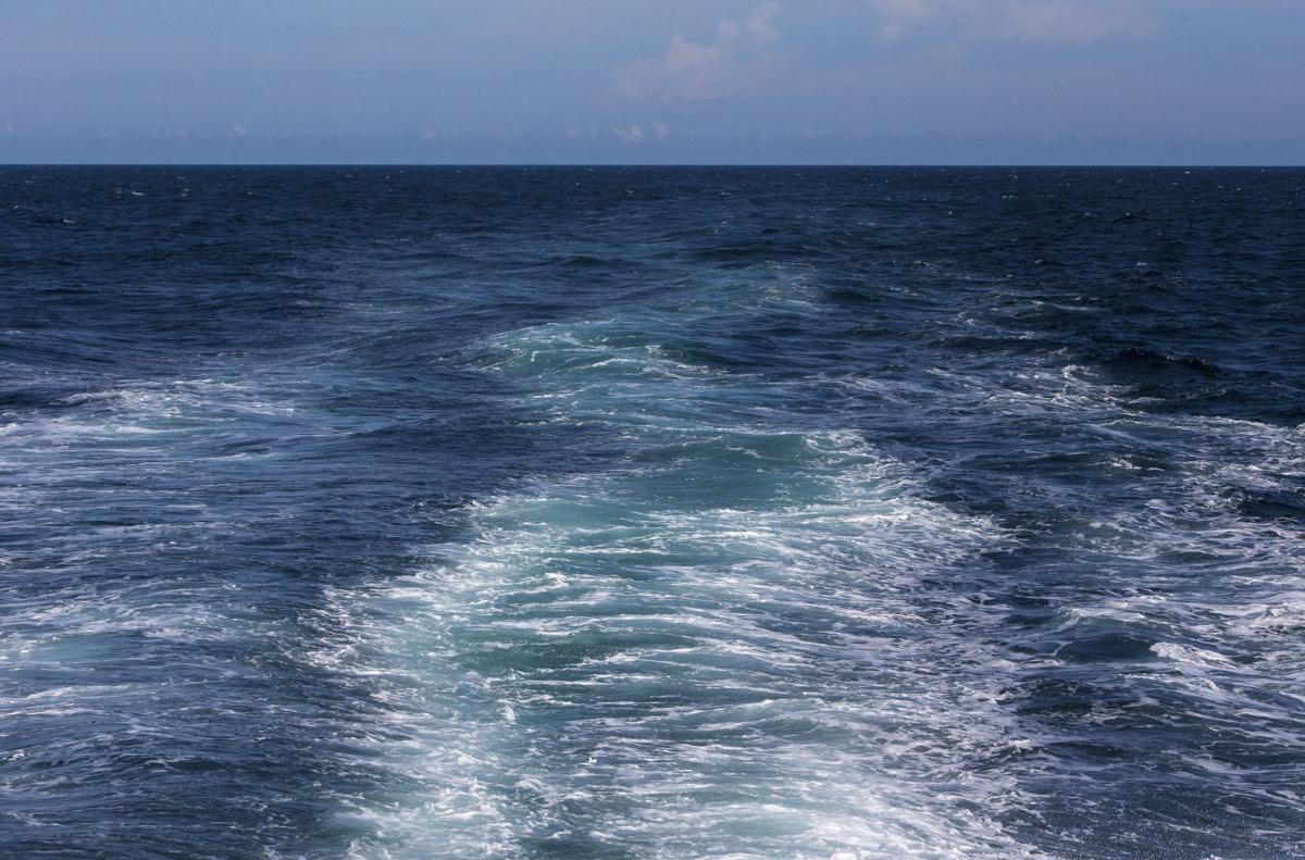 Gulf Stream Fishing13.JPG