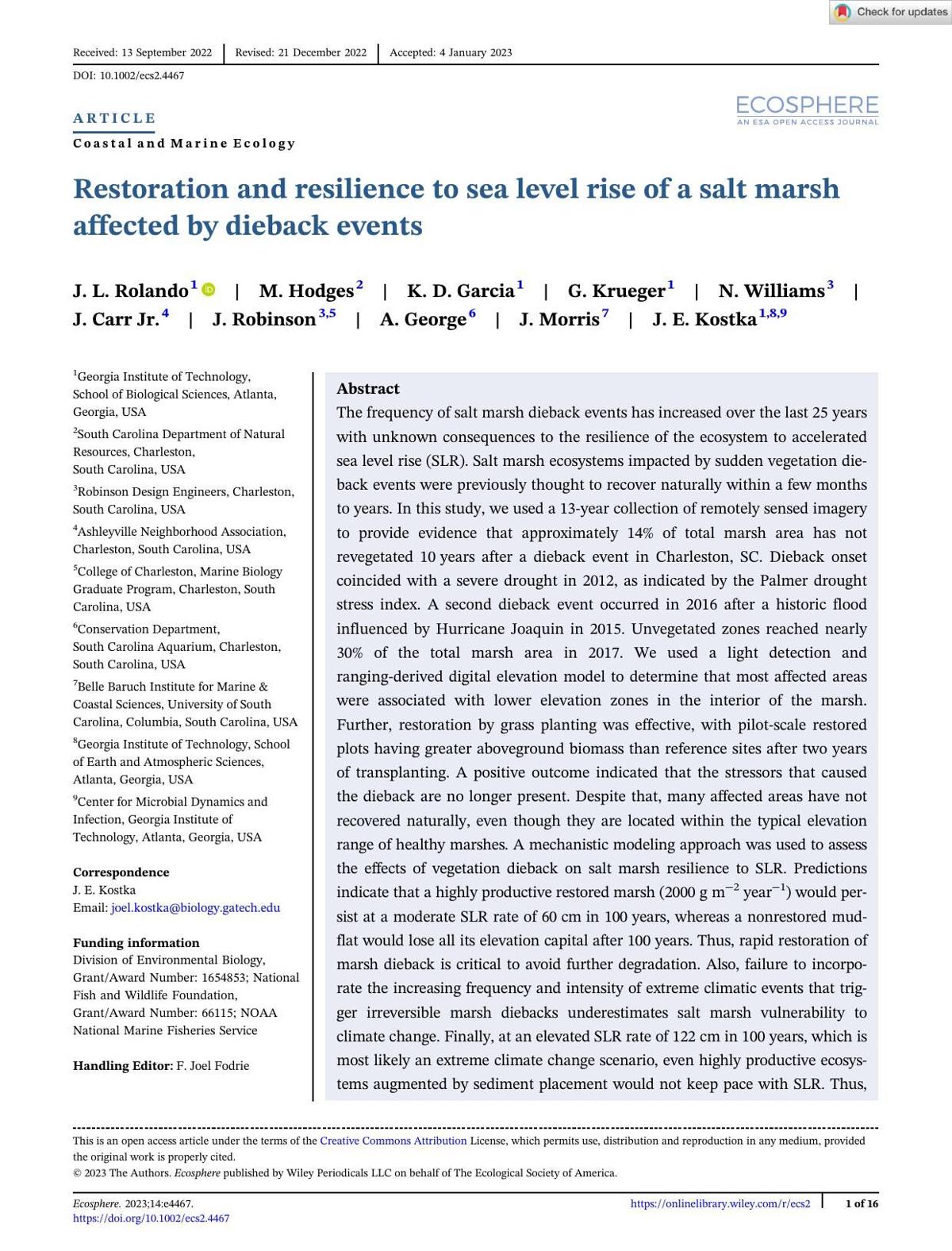 Restoration and resilience to sea level rise of a salt marsh affected by dieback events