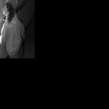 Charleston police seek help identifying church burglary suspect