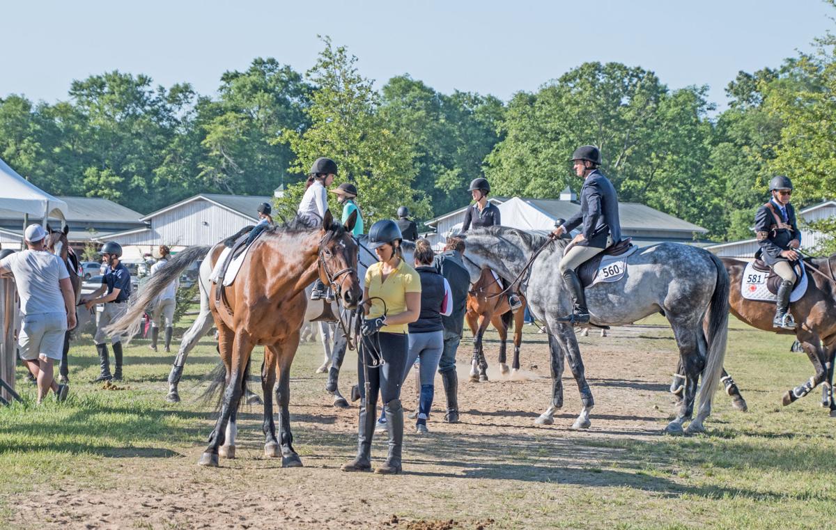 More than 650 horses, 250 riders competing in Aiken Charity Shows at Bruce's Field 1