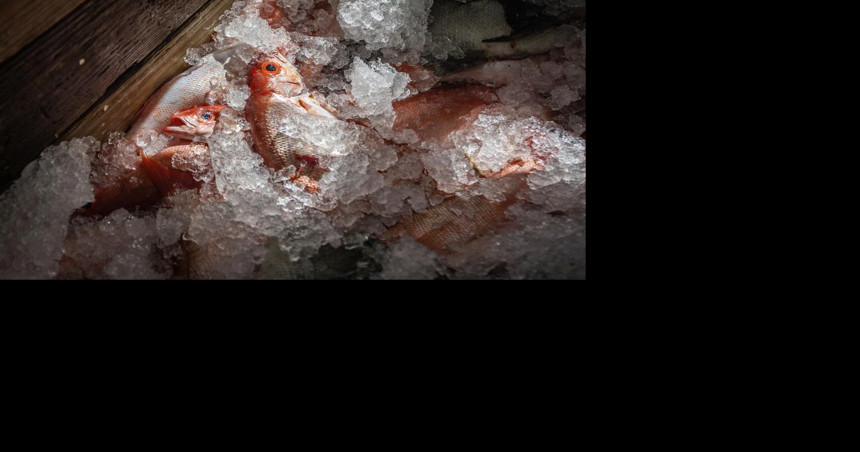 SC’s commercial fishing industry is in decline. Offshore anglers, restaurants adapt to meet demand.