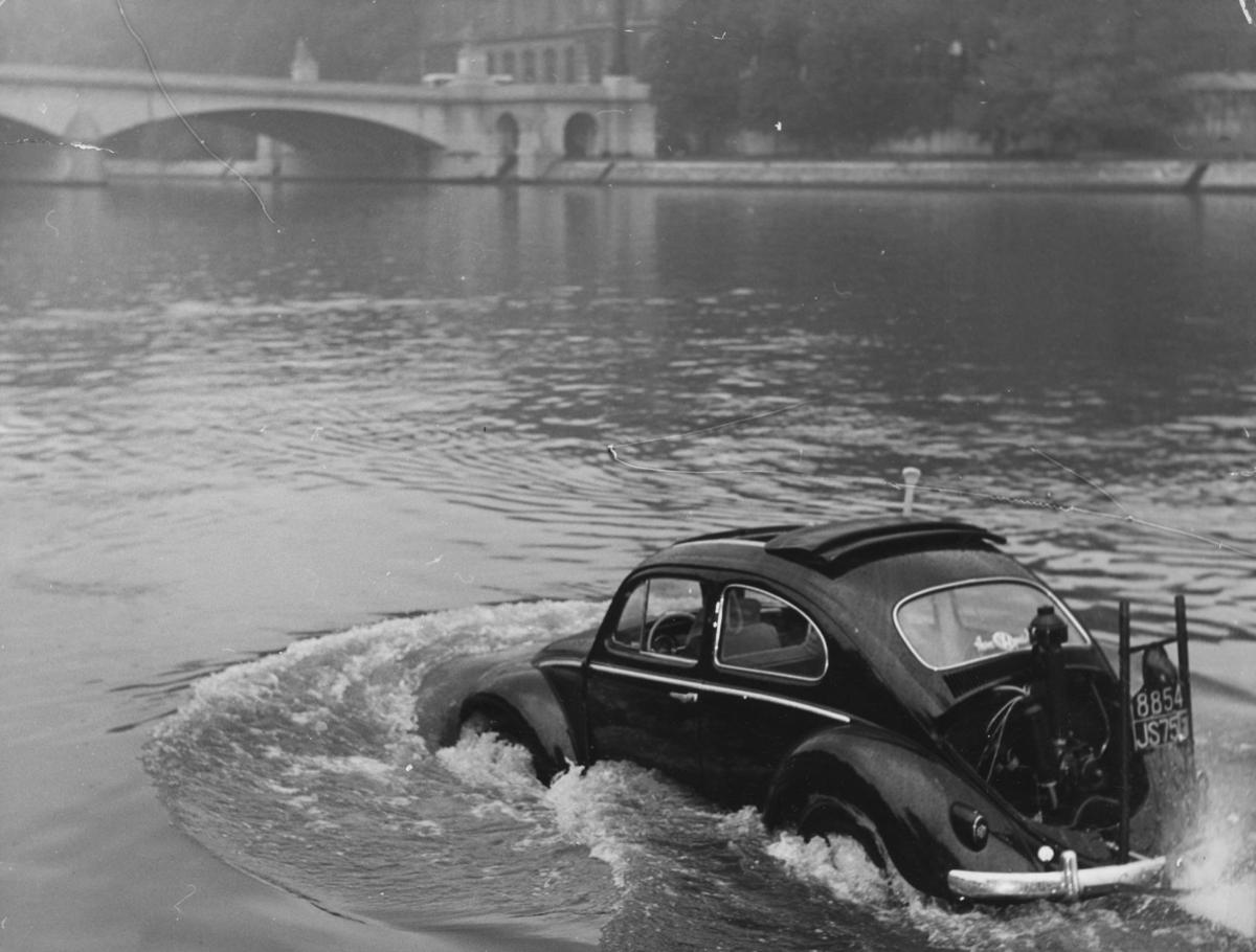 France Beetle At Water Test