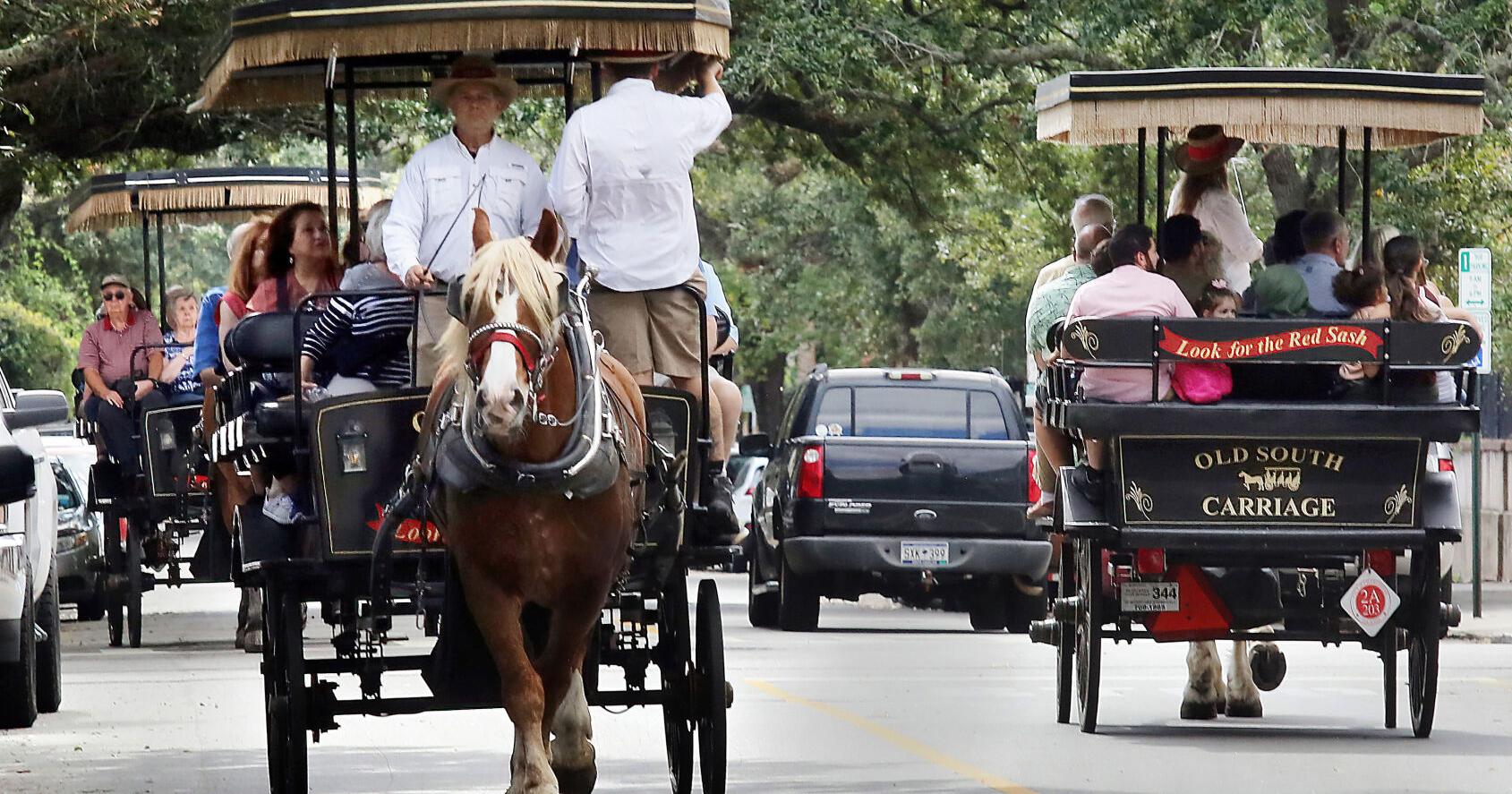 SC tourism is off to 'a strong start,' review of 1Q says - Vimarsana News