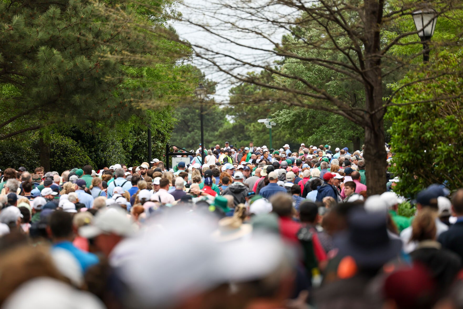 New Masters Hospitality To Start With 2024 Tournament And It S   642865d0df34a.image 