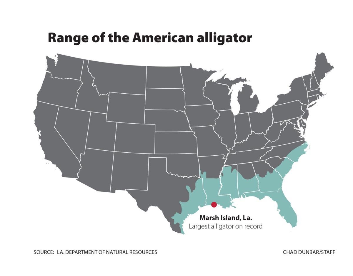 alligators in south carolina map How Long Are South Carolina S Biggest Gators And Where Are They alligators in south carolina map