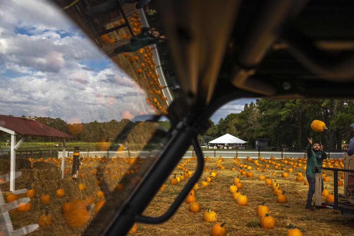 Pumpkin Partch05 .JPG