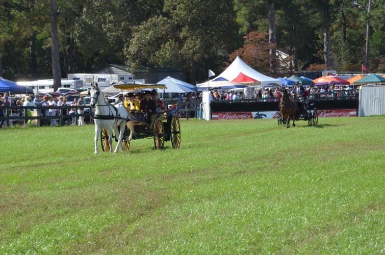 The Aiken Fall Steeplechase Slideshows