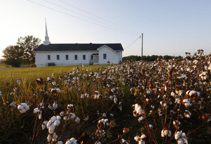 alcolu scenes__11.jpg