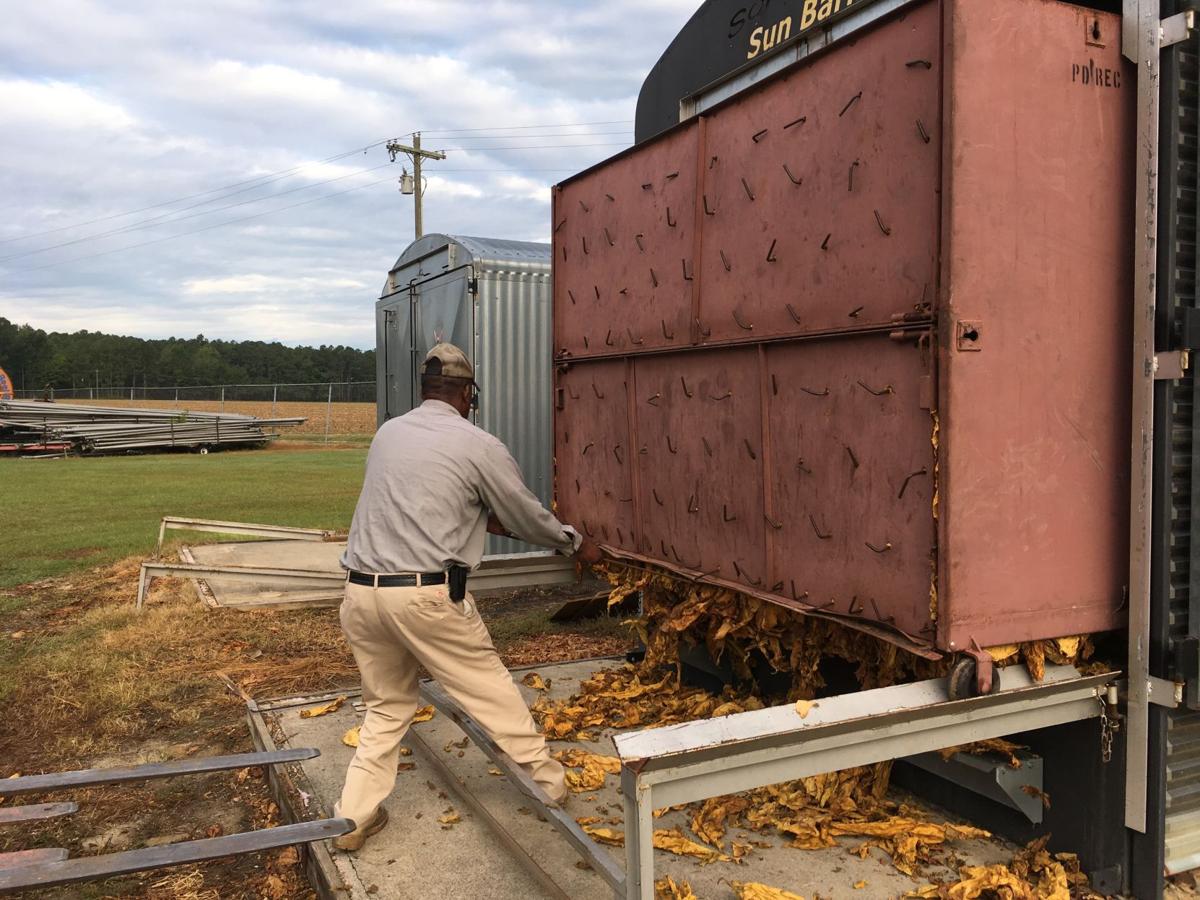 Tobacco still South Carolina's 'money crop' as farmers try to hang on