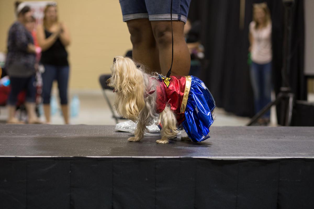 Pet Expo-October 14, 2017-540